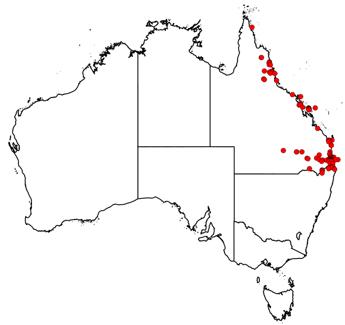 Map of collecting locations from AVH for Henry Tryon