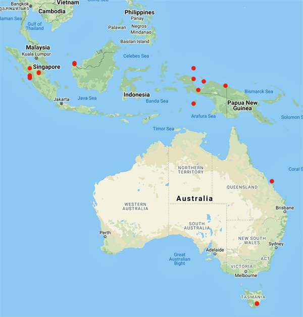 collecting locality map for 'Beccari, O.'