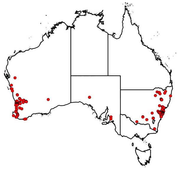 Collecting localities for Carne, W.M.