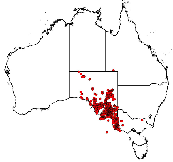 map: Darrell Nairn Kraehenbuehl