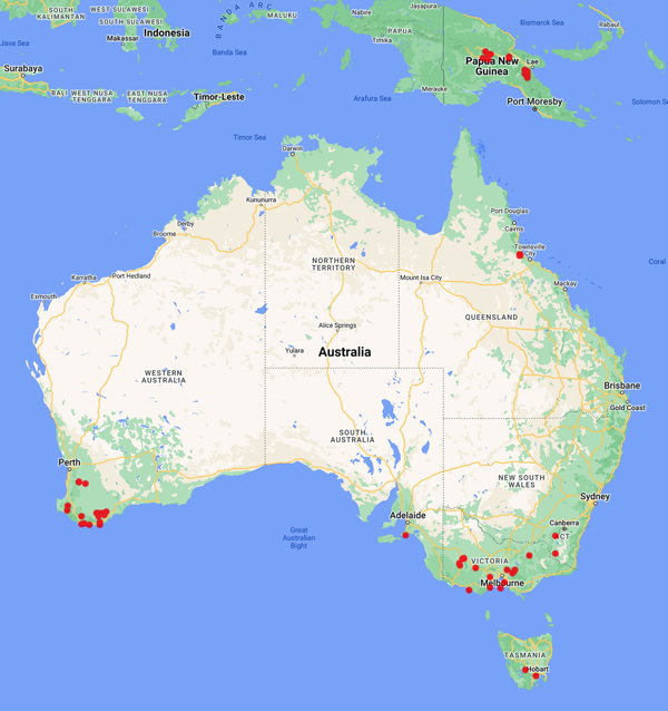 collecting locality map for 'Palser, B.F.'