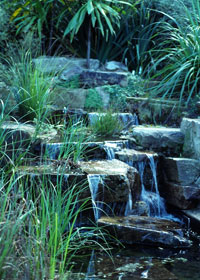 water feature