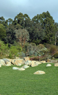 rocks on lawn