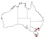 Podocarpus lawrencei distribution