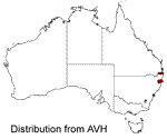 Alloxylon pinnatum distribution