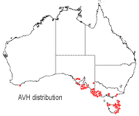 Melaleuca gibbosa distribution