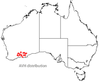 Eremophila calorhabdos map