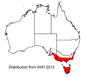 Distribution map for Epacris impressa