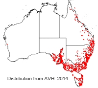 Bursaria spinosa distribution