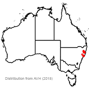 Grevillea guthrieana distribution