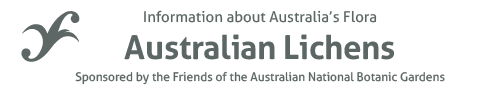 Australian Lichens - Information about Australia's flora