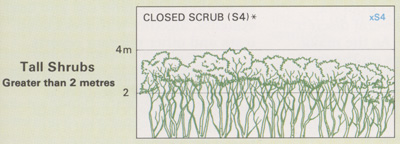 Closed Scrub structure