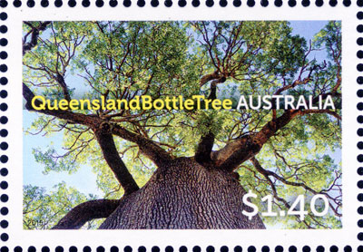 stamp: Brachychiton rupestris