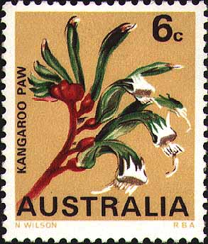 Anigozanthos manglesii stamp